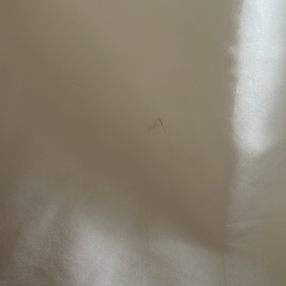 Amsale Reed Wedding Gown 10 - Picture 10 of 13